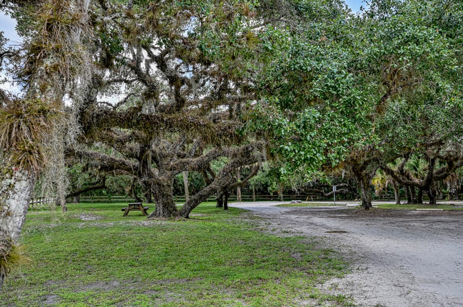 Oaks Park (5 of 9)