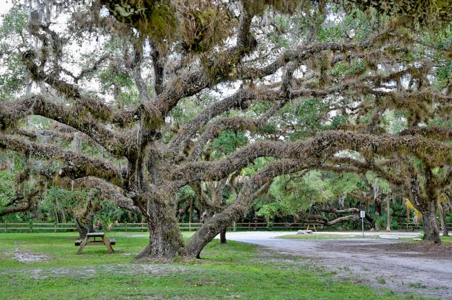 Oaks Park (8 of 9)