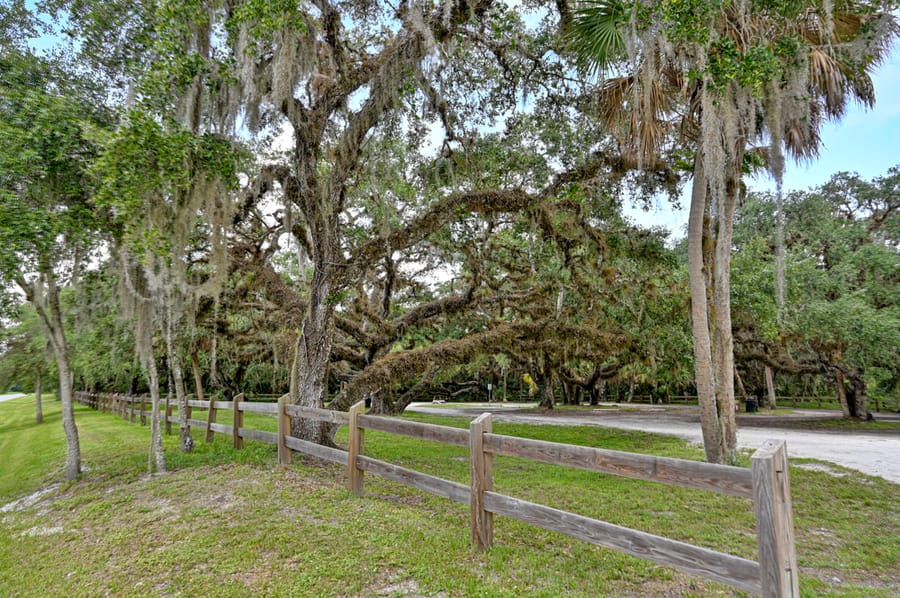 Oaks Park (1 of 9)