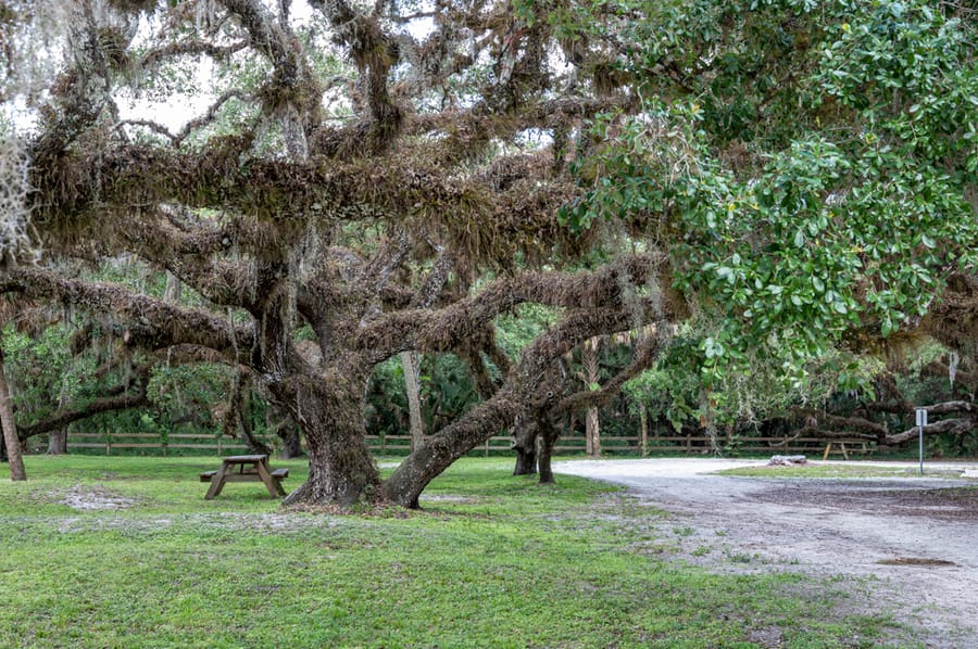 Oaks Park (2 of 9)