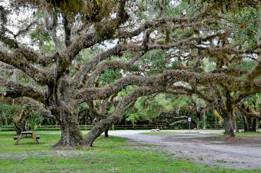 Oaks Park (9 of 9)