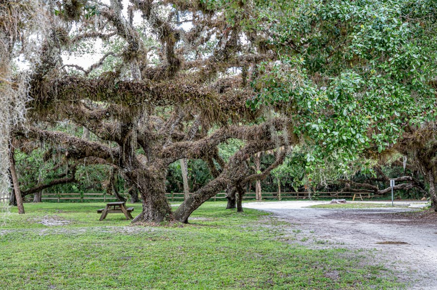 Oaks Park (3 of 9)