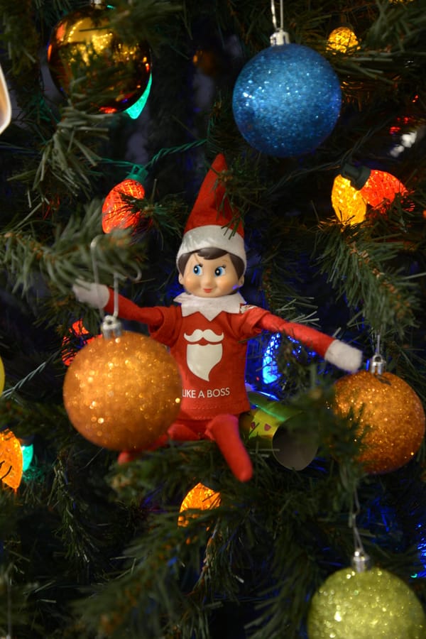 20161206_RoamingHolidayAdmin_005_SD