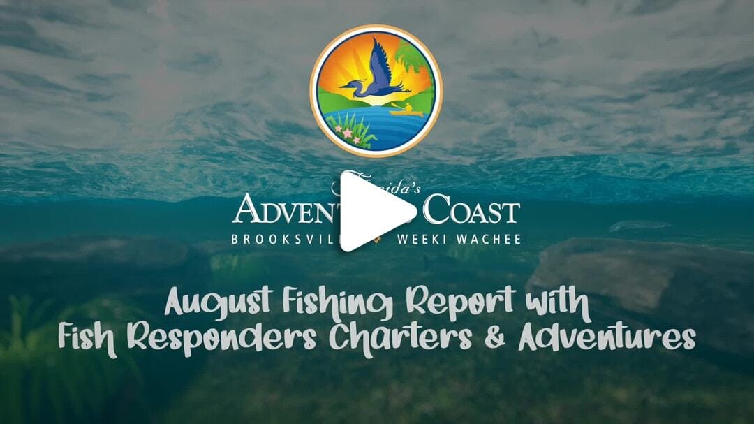 August Fishing Report 2023 Final