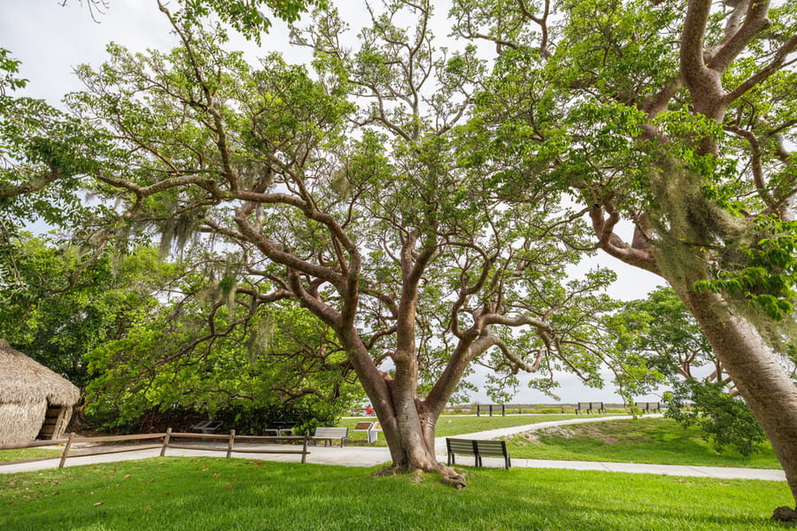 De Soto National Memorial