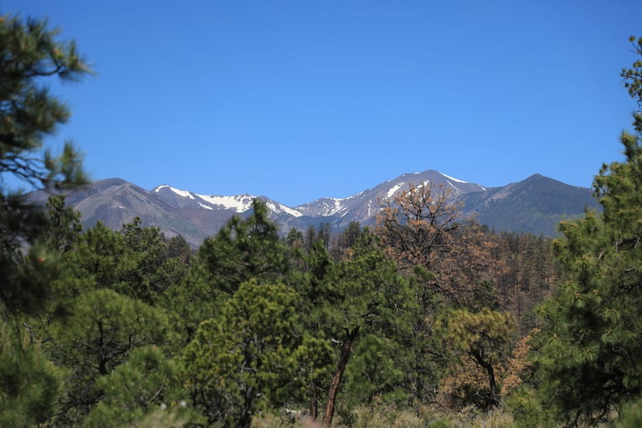 Flagstaff - Sunset Crater Volcano National Park_credit Arizona Office of Tourism