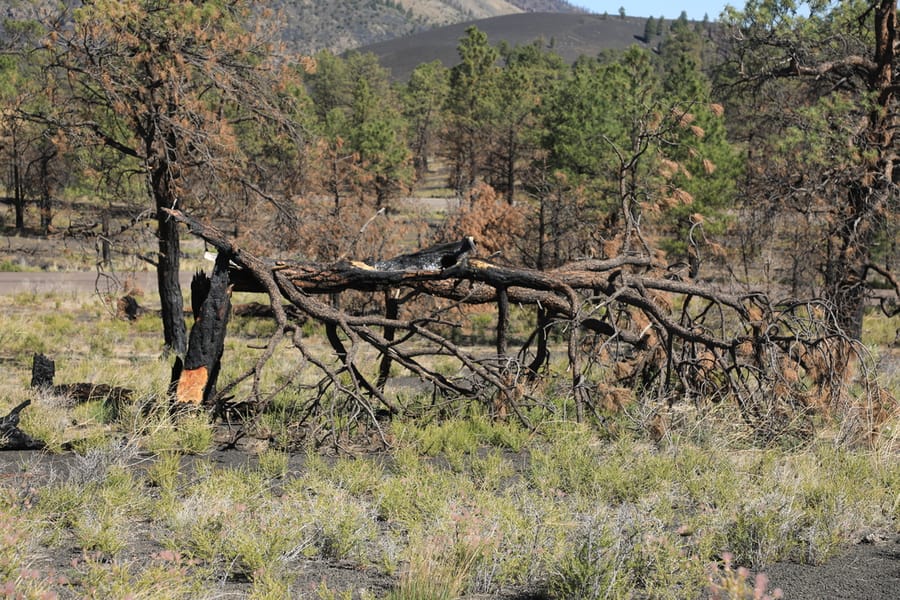 Flagstaff - Sunset Crater Volcano National Park_credit Arizona Office of Tourism