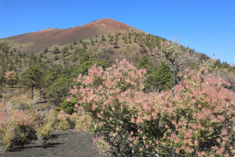 Flagstaff - Sunset Crater Volcano National Park_credit Arizona Office of Tourism