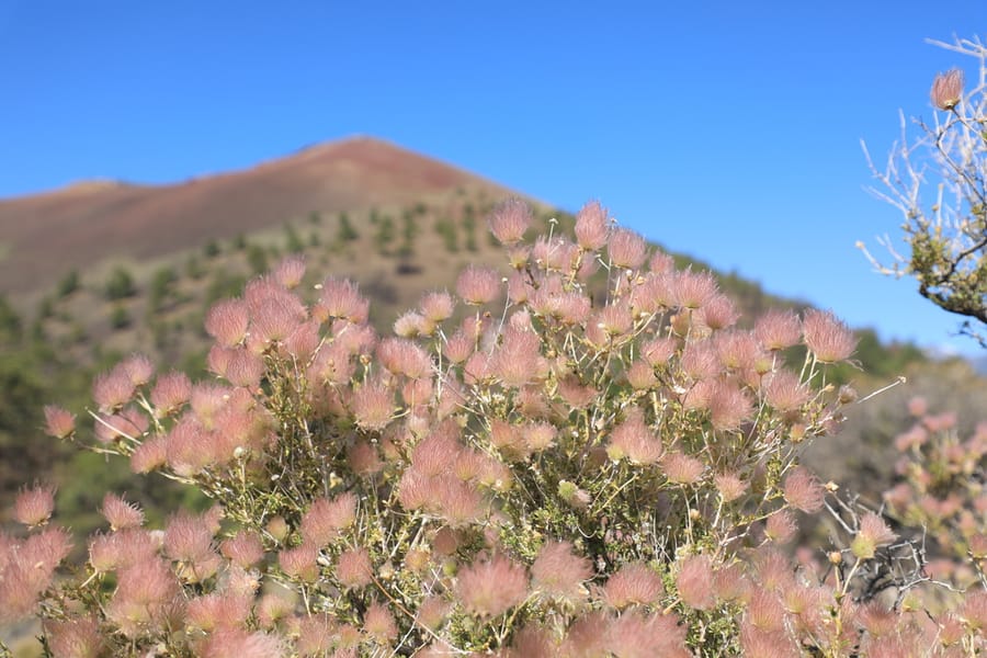 Flagstaff - Sunset Crater Volcano National Park_credit Arizona Office of Tourism