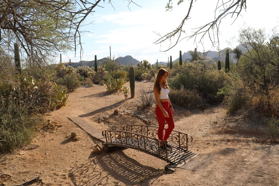 Tucson - Posada Inn at Joshua Tree House_credit Arizona Office of Tourism