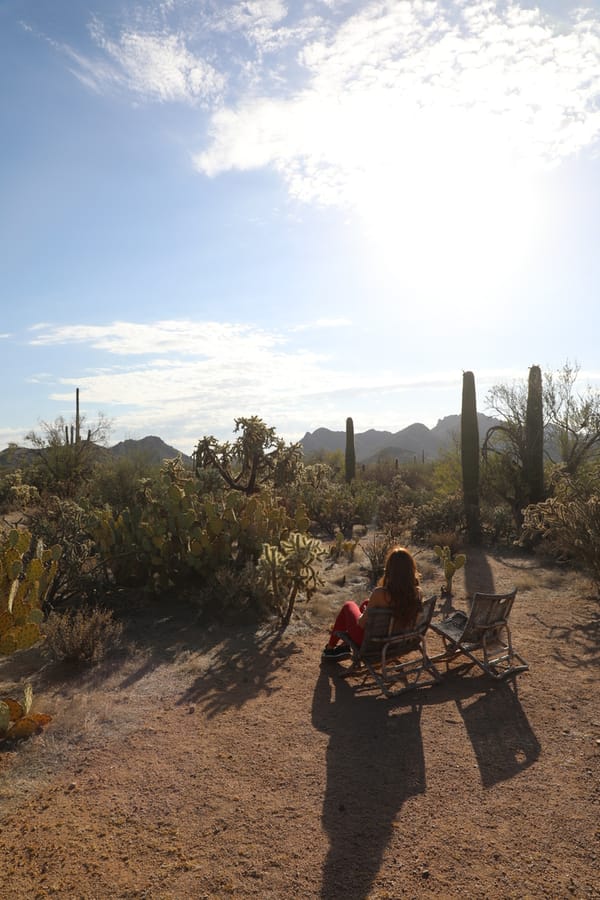 Tucson - Posada Inn at Joshua Tree House_credit Arizona Office of Tourism