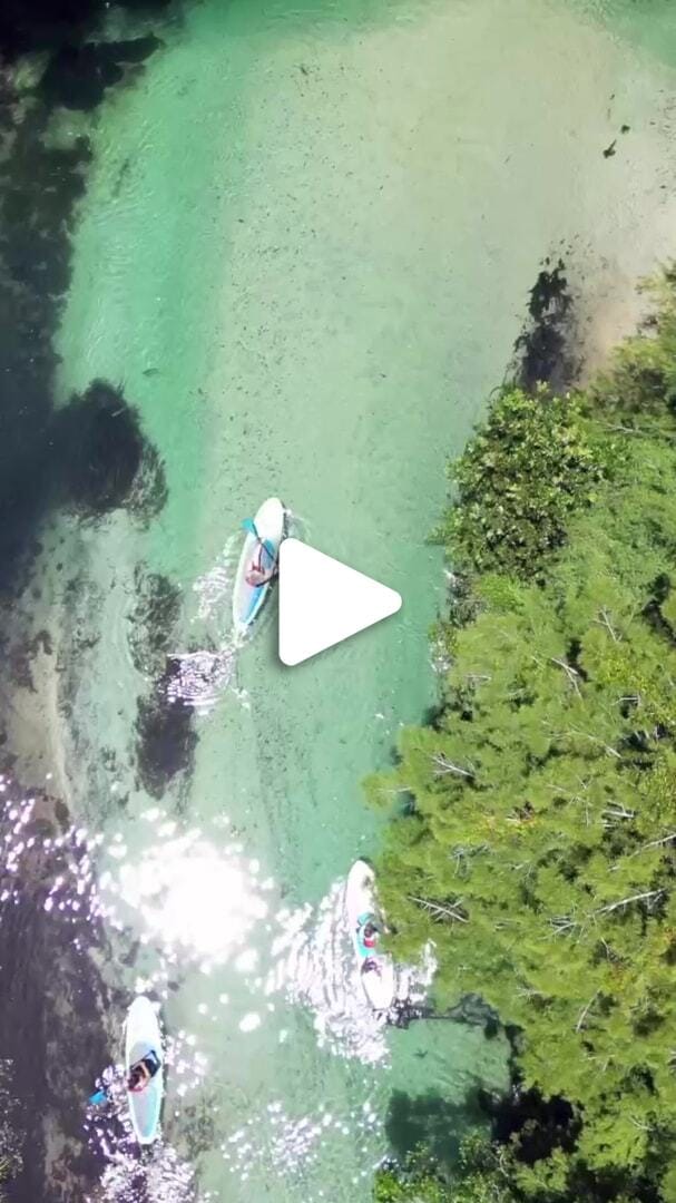 Kayaking Weeki Wachee River Vertical