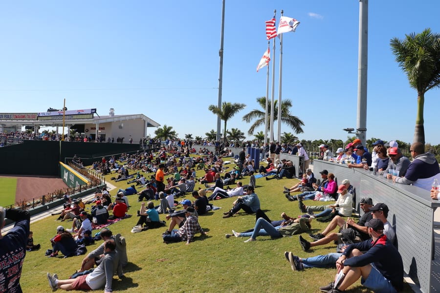 Braves_game_crowd_grass_03.06.20