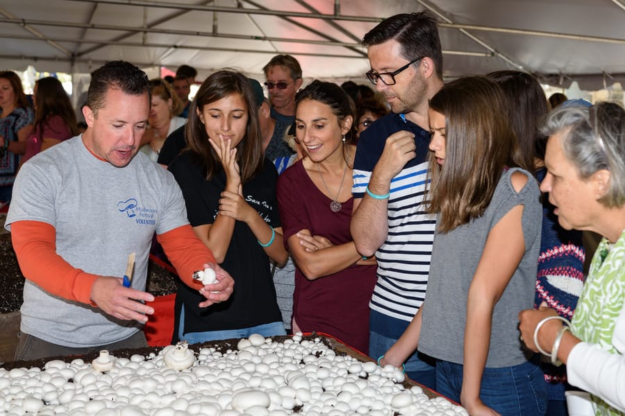 Kennet Square Mushroom Festival