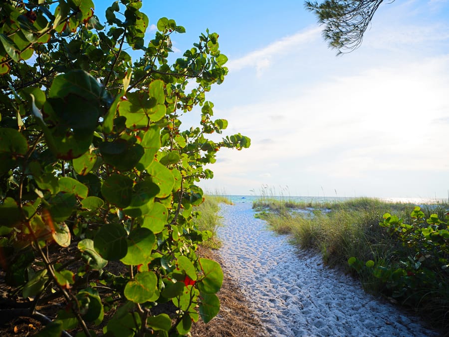 Bradenton Area Beaches 2023
