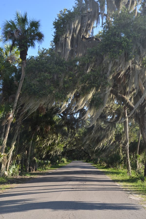 Myakka River State Park