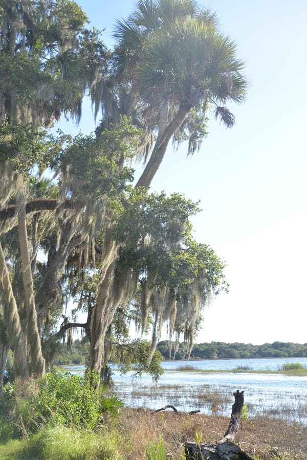 Myakka River State Park