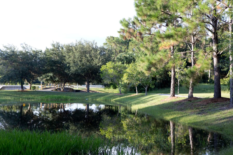 Park_pictures_08.19.14_v2