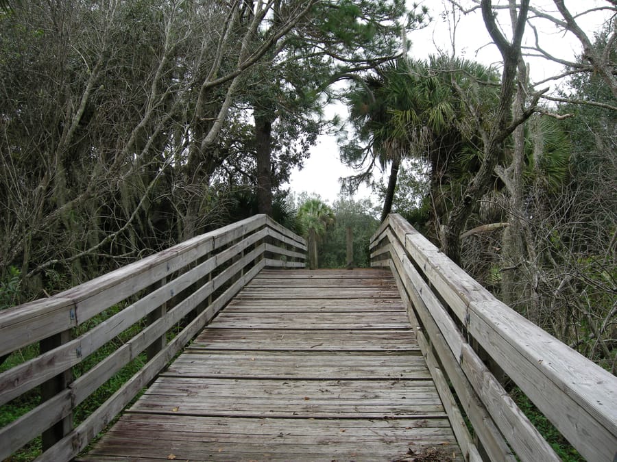 North_port_park_12.11.09