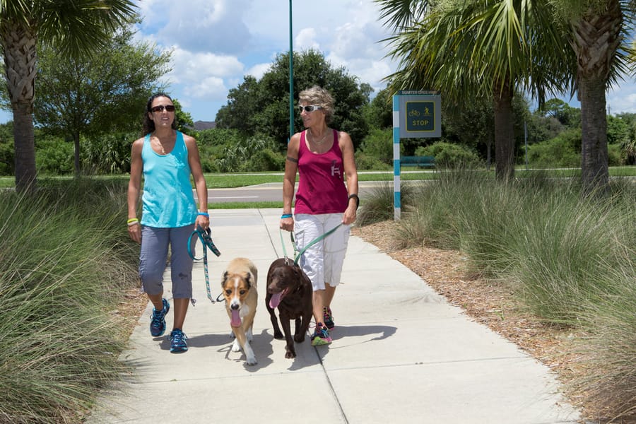 Dog_walkers_08.18.14_v2