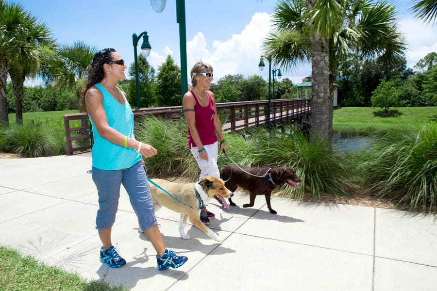 Dog_walkers_08.18.14_v6