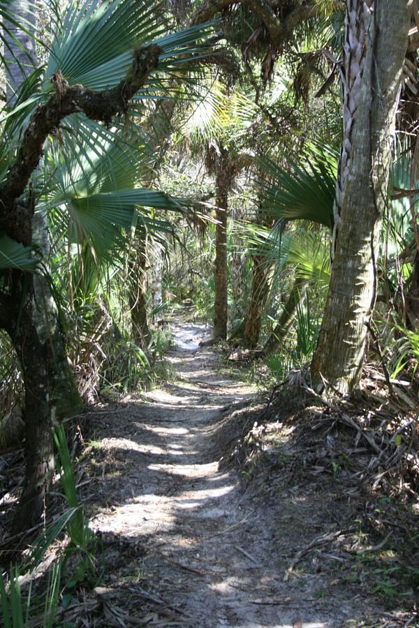 Myakkahatchee_creek_trail_02.22.10