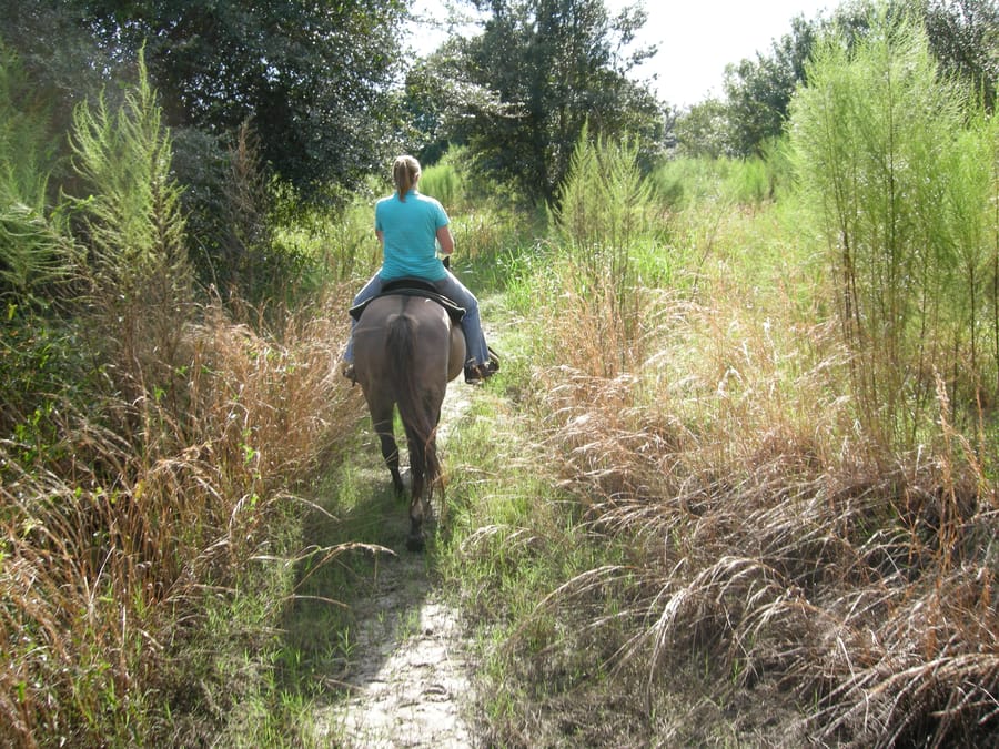 North_port_horseback_riding_10.02.09
