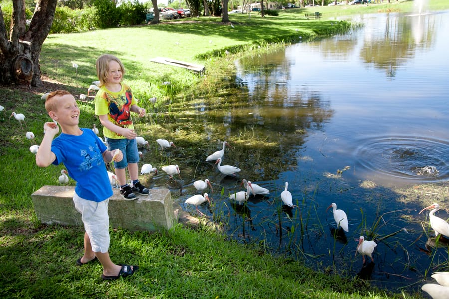 Kids_pond_08.16.12