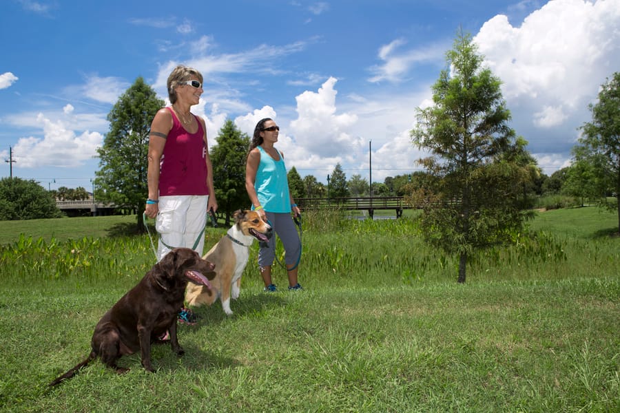 Dog_walkers_08.18.14_v3