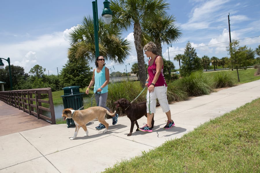 Dog_walkers_08.18.14_v1