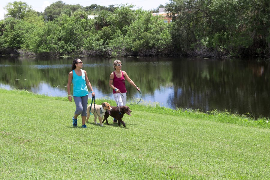 Dog_walkers_08.18.14_v4