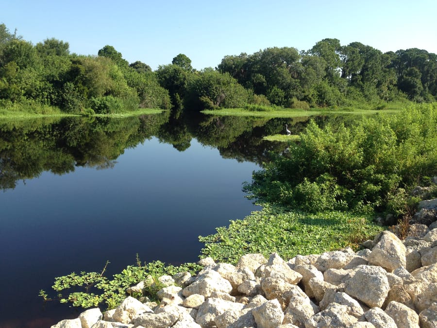 Myakkahatchee Creek_04.05.19