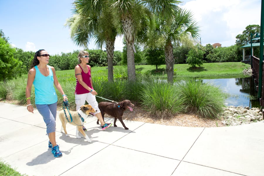Dog_walkers_08.18.14_v5