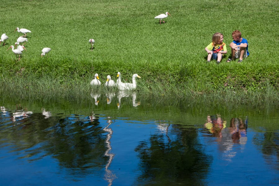 Kids_and_ducks_07.06.23