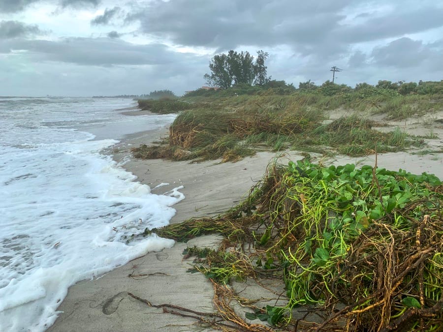 Hurricane Idalia = Turtle Beach