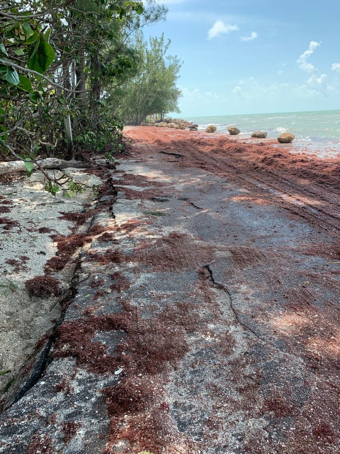 Hurricane Idalia - Casey Key