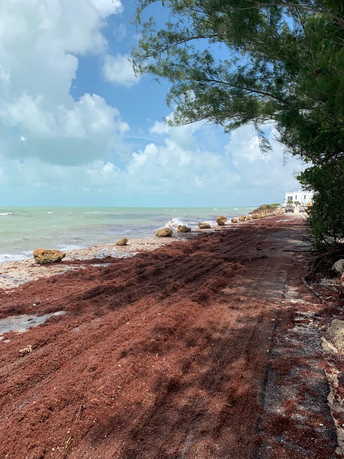 Hurricane Idalia - Casey Key