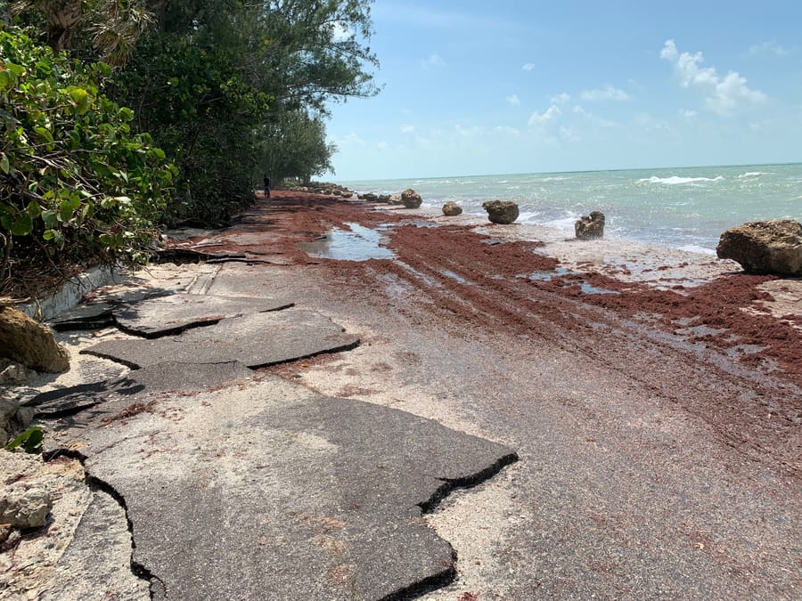 Hurricane Idalia - Casey Key