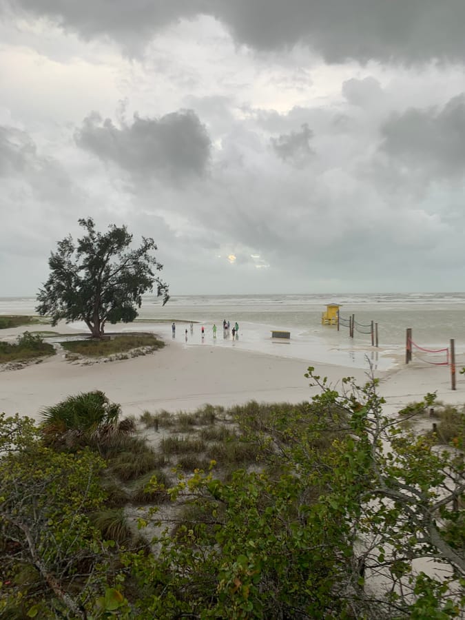 Idalia - Siesta Beach