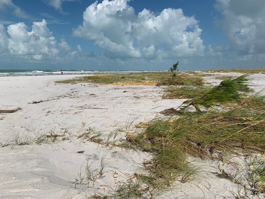 Idalia - Lido Beach