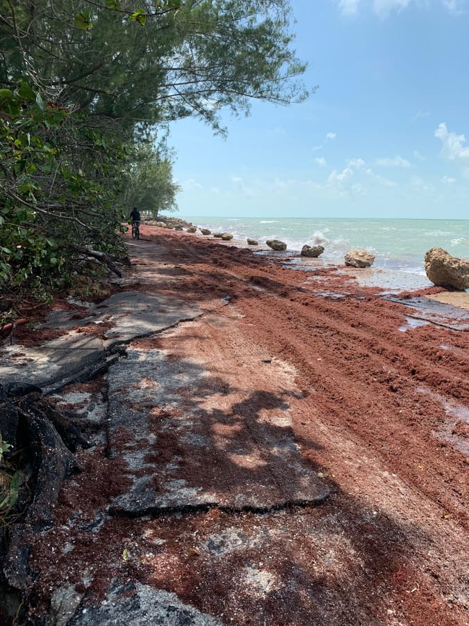 Hurricane Idalia - Casey Key