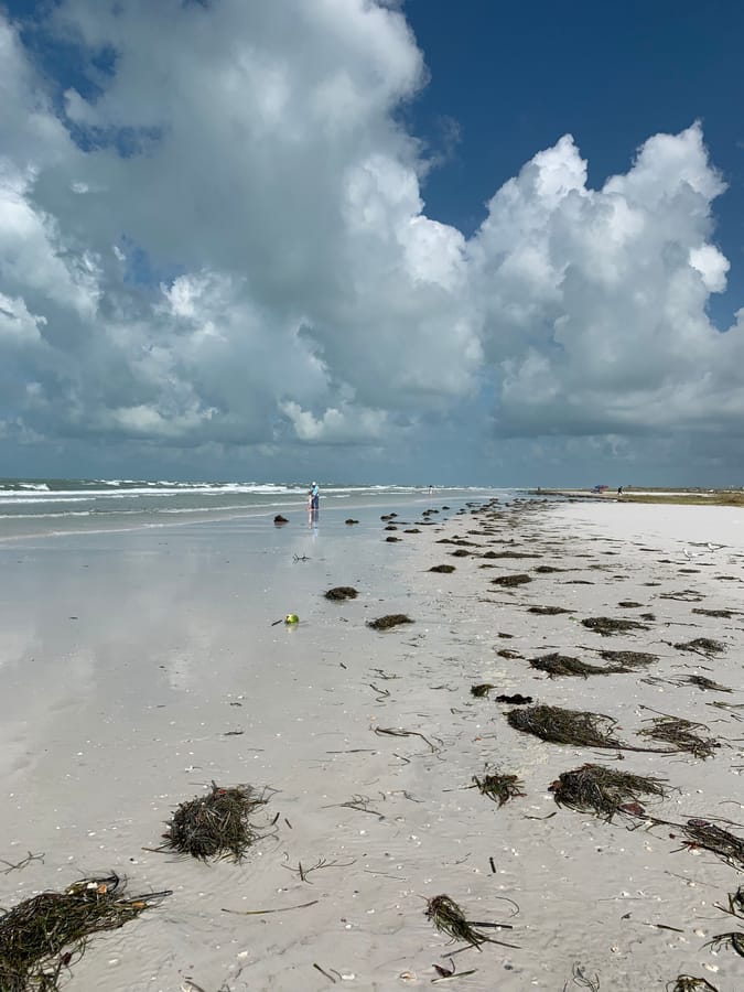 Idalia - Lido Beach