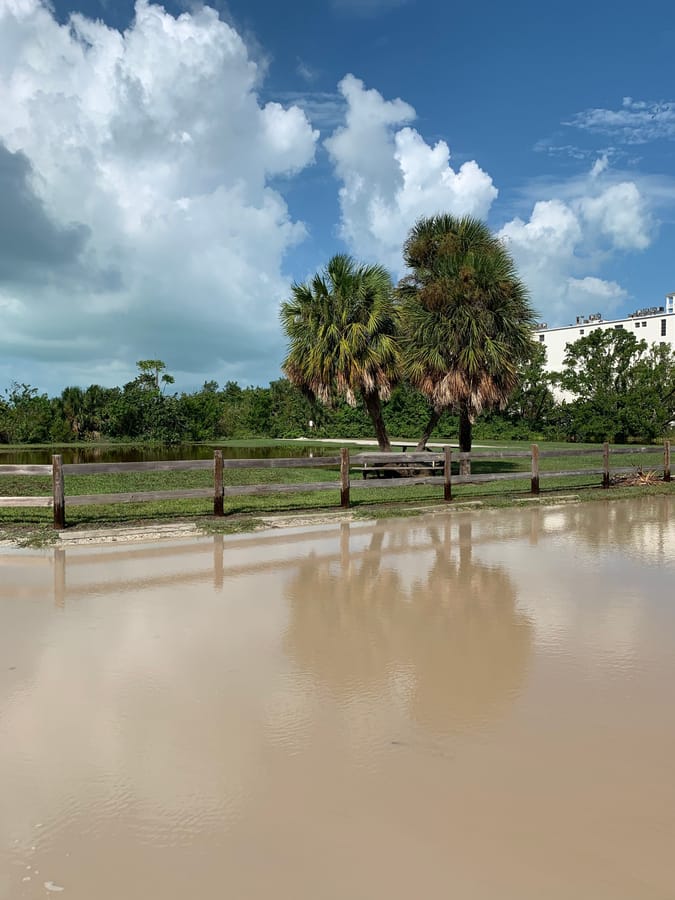 Idalia - Ted Sperling Park