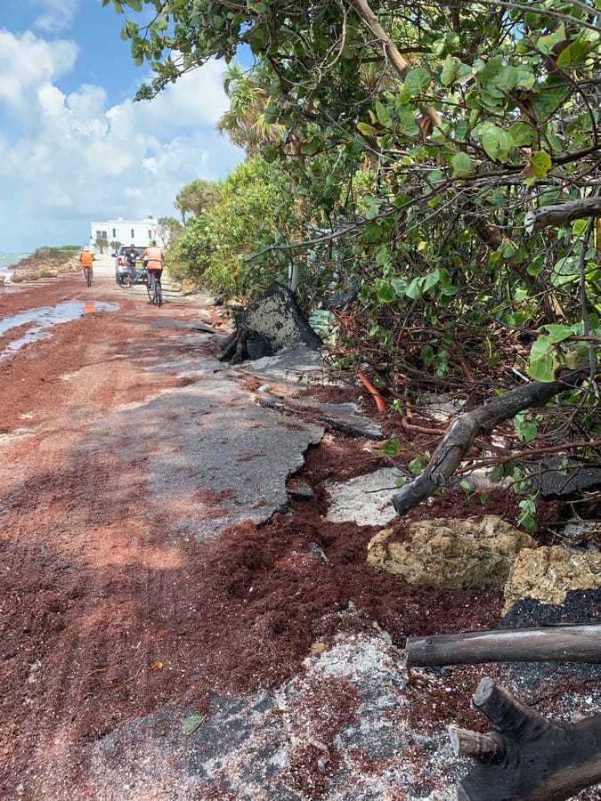 Hurricane Idalia - Casey Key