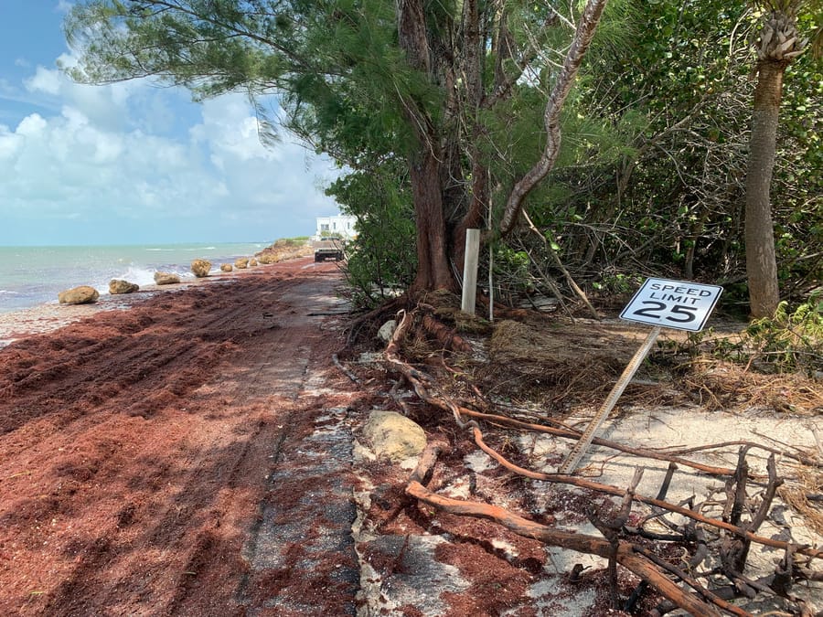 Hurricane Idalia - Casey Key