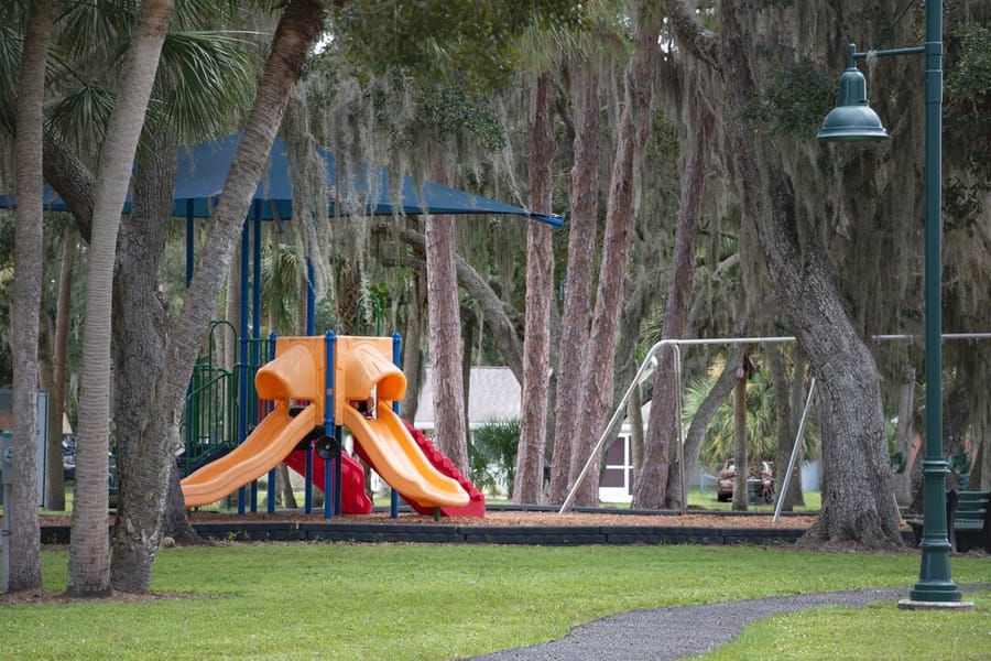 PINE PARK-4