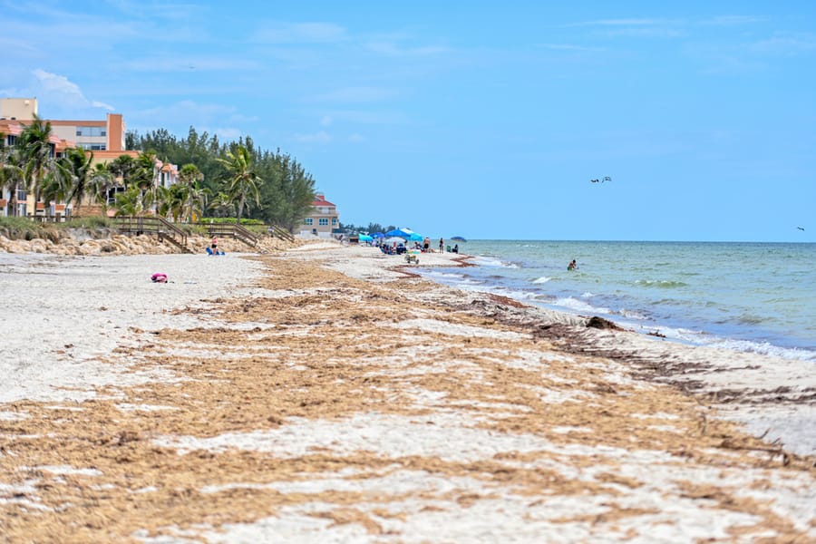 20230906_IdailiaTurtleBeach_001_SD