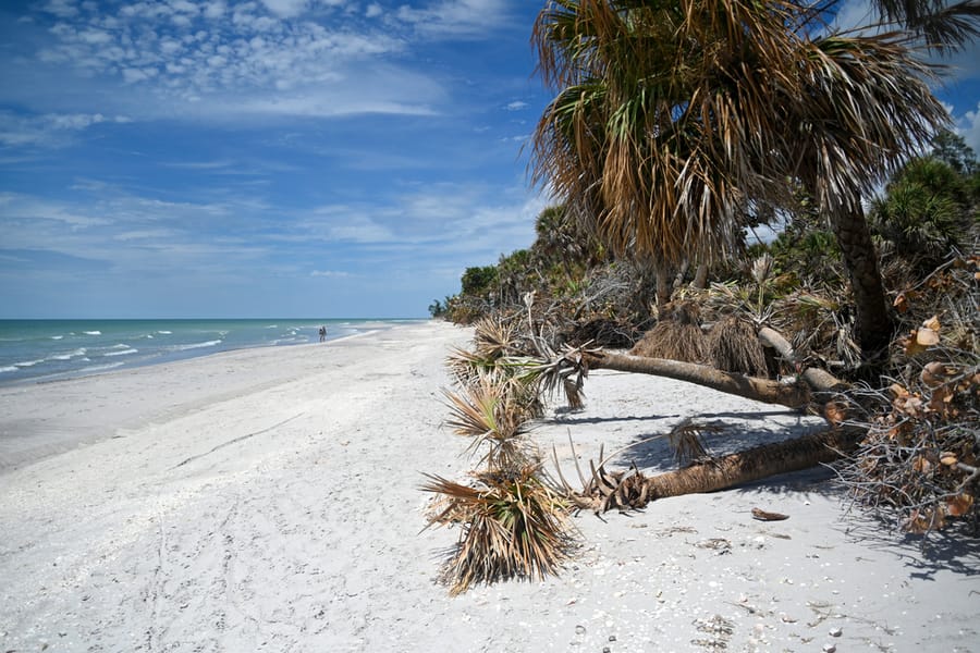 20230906_IdailiaManasotaKey_026_SD