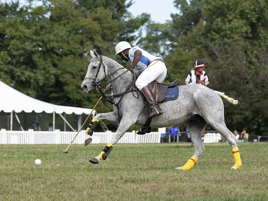 The St. James Philadelphia Polo Classic