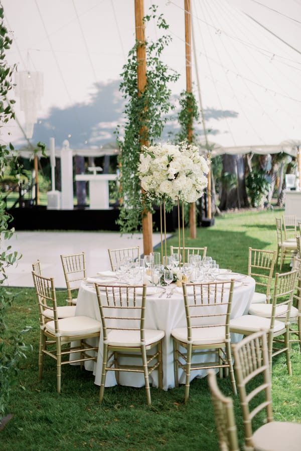 Wedding561